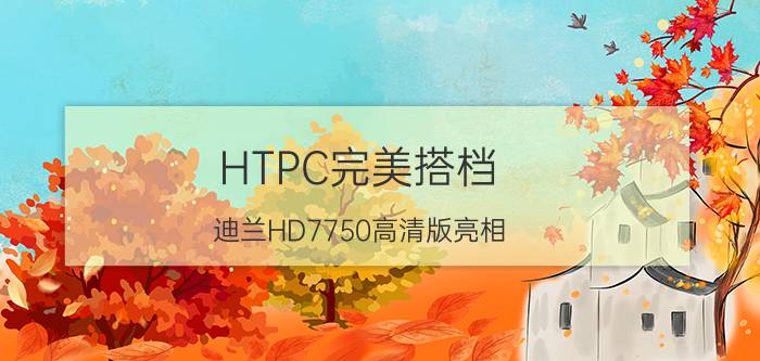 HTPC完美搭档 迪兰HD7750高清版亮相